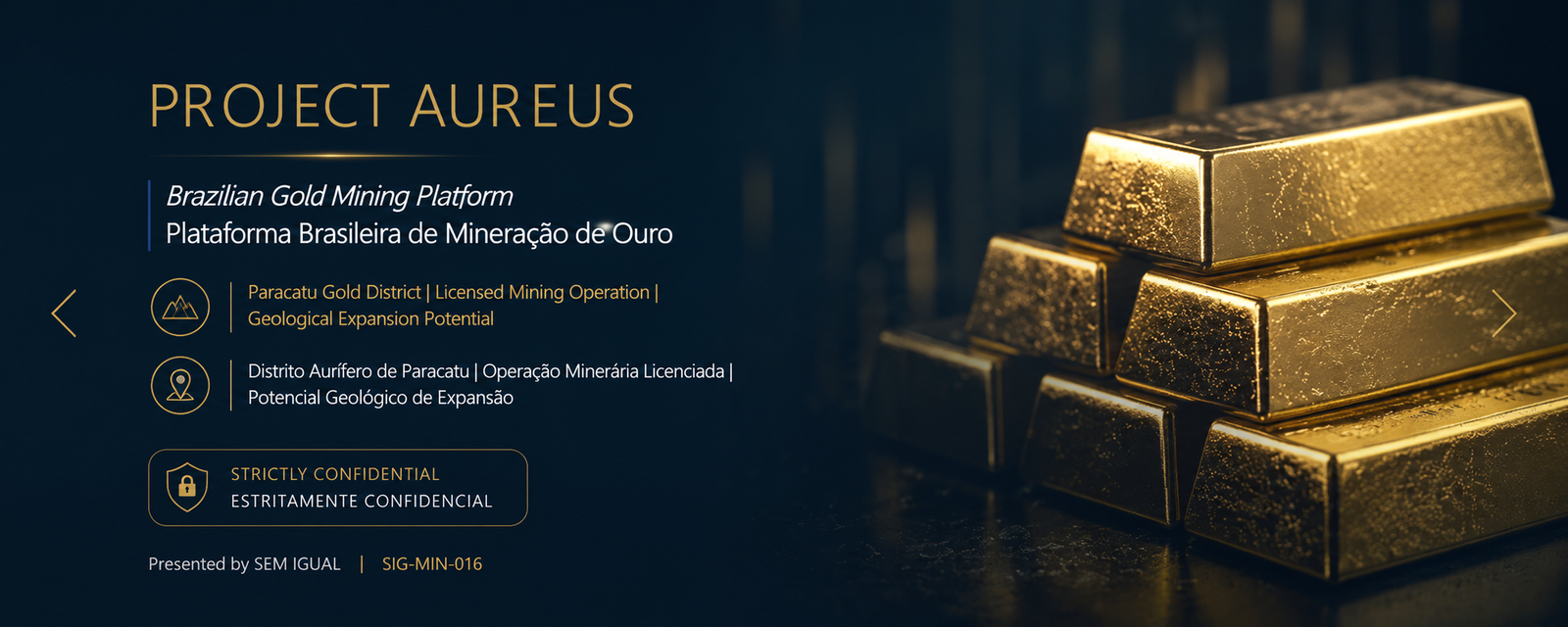 Plataforma Brasileira de Mineração de Ouro