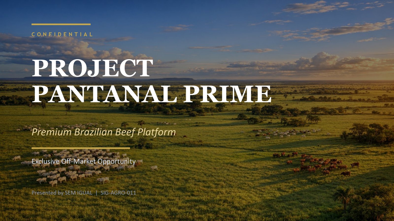Premium Brazilian Beef Platform
