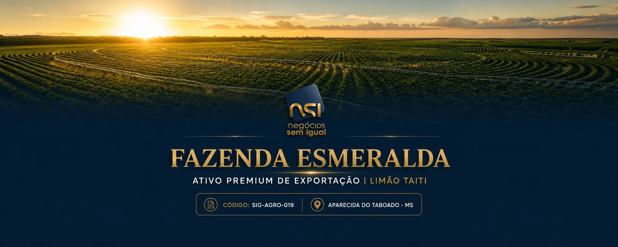 Uma Oportunidade Sem Igual.