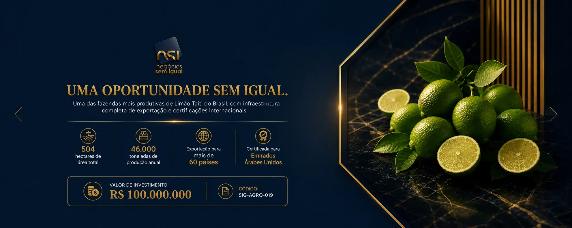 Uma Oportunidade Sem Igual.